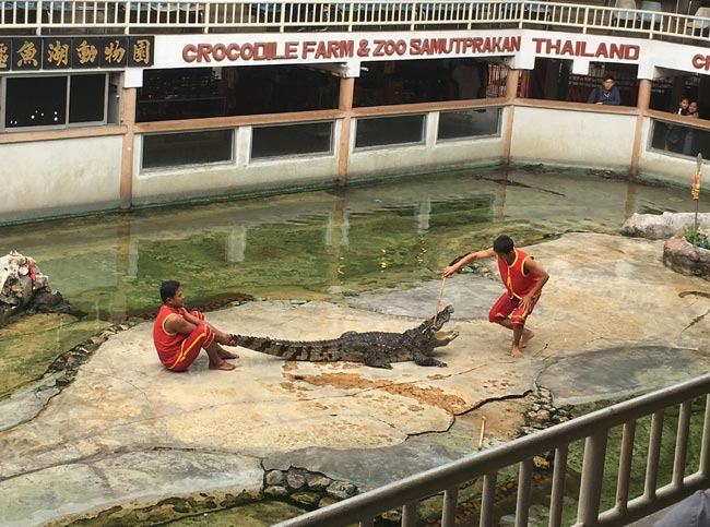 北攬鱷魚(yú)湖
